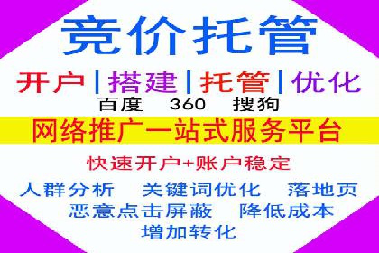 百度竞价推广案例：品牌崛起之路